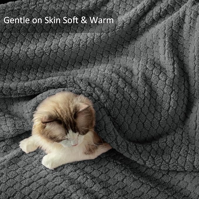 Exclusivo Mezcla Twin Size Fleece Blanket for Bed, Extra Soft Warm Decorative Fuzzy Blanket for Women, Lightweight Cozy Bedding Blankets, 60x80 Inches, Dark Grey